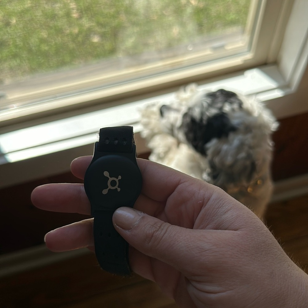 OTF heart monitor. In great condition. Dog not included. 🤣